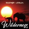 Wilderness - Suleymer&Dj Goja&Alin Radu&Ovidiu Marius Goja