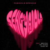 Seng'yajola - Pushkin RSA&springle&Dash SA&T&T MuziQ&BenyRic