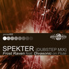 Spekter (Dubstep Mix) - Frost RAVEN&Divasonic