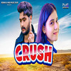 Crush - Parry Baisla