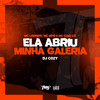 Ela abriu minha galeria (Explicit) - Mc Lobinho&MC MPR&Dj Cozy&mc caio cb
