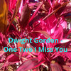 One, Two I Miss You (Radio Edit) - Dwight Gordon