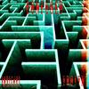 Confused (Explicit) - YBOTTN .
