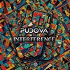 Interference - Pudova
