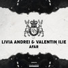 Afar (Paul Hamilton Remix) - Livia Andrei&Valentin Ilie&Paul Hamilton