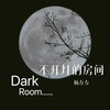 不开灯的房间 - 杨友友