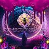 CONSCIOUSNESS - AVILYS