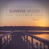 Night Wish (Original Mix) - Gushi&Raffunk