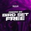 PISEIRO DO BIRD SET FREE - Brazilian Remix Tv