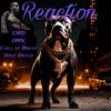 Reaction (feat. DMX) (Explicit) - CMD ChillenMacDaddy&Chill of Bbent&Half Deezy&DMX