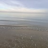 Calm Sea - Gen