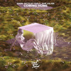 Coming Home - Adon&Nicolas Haelg&Sam Halabi
