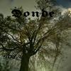 Donde - Goja