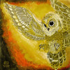 Emerald Dove - Eets