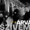 Árva szívem - Csík Laci