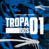 Tropa dos 01 (Explicit) - DJ MOLCK&MC RR do Campos&DJ Leozin do SF