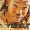 Thrill Is Gone - Twizzle