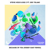 Because Of You (feat. Bri Tolani) (Robby East Remix) - Steve Void&BIG Z&Bri Tolani