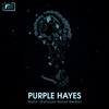 Stylin' (Futurum Sonat Remix) - Purple Hayes&Futurum Sonat