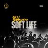 Soft Life - bobbyaino