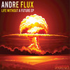 Too Much Perfection - Andre Flux