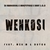 Wenkosi - Dj Awakening&Imnotsteelo&Mzu M&Baby S.O.N&Dutch