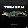 Temsah (Explicit) - Hamid Darko&Hamid darafarin&Biggi