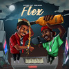 Flex - Silksway&Young Beejay