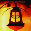 Morning Lights - Raio