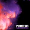 Flow des astres (Explicit) - Morfeus