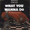 What You Wanna Do (Explicit) - Fat Philthy