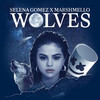 Wolves (Ted Remix) - Selena Gomez&marshmello