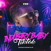 Industry Baby Tiktok (Explicit) - Dioguinho Hitmaker&MC Mn