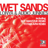 Wet Sands (Guy Mantzur 's Feathers Mix) - Lonya&Audio Junkies&Guy Mantzur