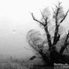 Thunderstorm & heavy rain - Eric Bolvin
