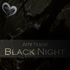 Black Night - Amir Nazari