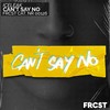 Can't Say No (Extended) - Iceleak