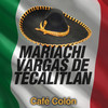 Camino Real de Colima - Mariachi Vargas de Tecalitlán&Vargas&Fuentes