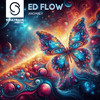 Anomaly (Radio Edit) - Ed Flow