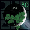 Cilantro - HOSH&Holger Behn