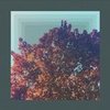 All My Friends (Fleur & RLSTNE Redo) - Fleur