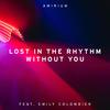 Lost In The Rhythm Without You - Amirium&Emily Colombier