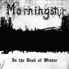 In the Dead of Winter - Morningstvr