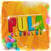 Pula Carnaval (Explicit) - Mc Felipinho Syllva&Mc Thicana&MC RD&&MC Wiu&MC Pipokinha&DJ LéoSheik