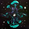 Attune - Cosmal&Ryan Coyle