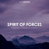 Spirit of Forces - Panuma&Marvin Vogel&Lennart Rau