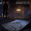 Burning For You - Pyrelight&Matt Rysen&Thomas RICARD&Mathieu Lesaec