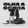 Olha a Cobra (Explicit) - Dj Brenno Paixão&Douth!&MC GW