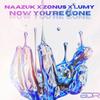 Now You're Gone - NAAZUK&Zonus&Lumy