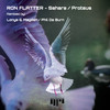 Proteus (Phil de Burn Space Travel Remix) - Ron Flatter&Phil de Burn